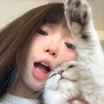城市乡巴鼠